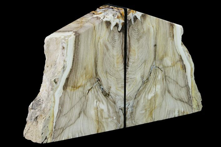 Petrified Wood Bookends - McDermitt, Oregon #166115